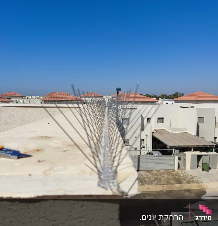 דוקרנים למניעת יונים על גג מבנה